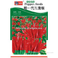 Red Cluster Pepper Chili Seeds For Growing Good Price and Excellent Quality-New Generation Red Cluster